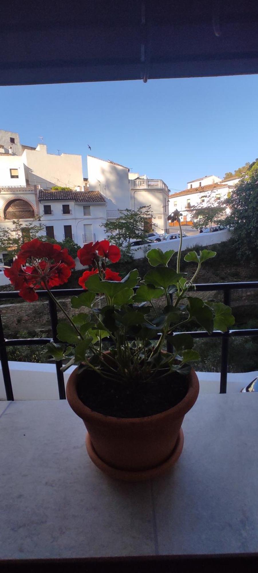 Casa Cueva Las Chicas Del Puente Setenil De Las Bodegas Εξωτερικό φωτογραφία