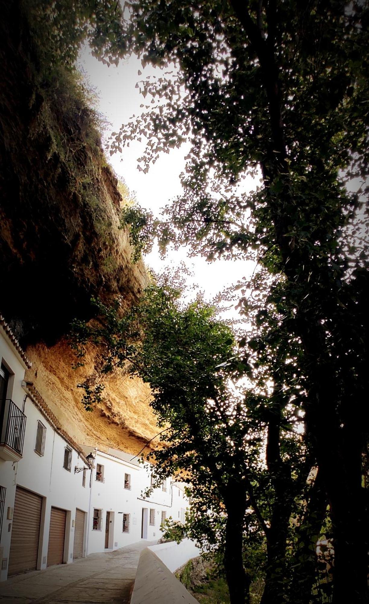 Casa Cueva Las Chicas Del Puente Setenil De Las Bodegas Εξωτερικό φωτογραφία